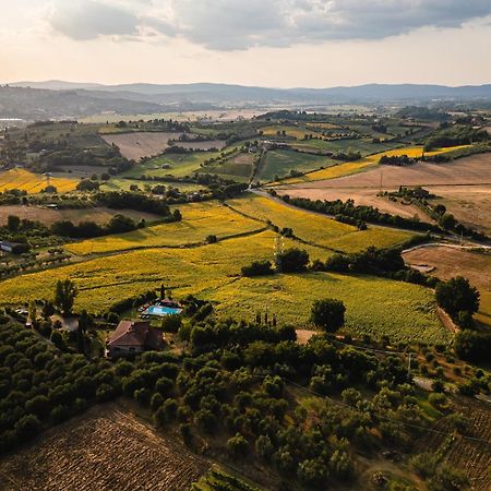 Villa Le Belle Giornate Foiano Della Chiana Eksteriør billede