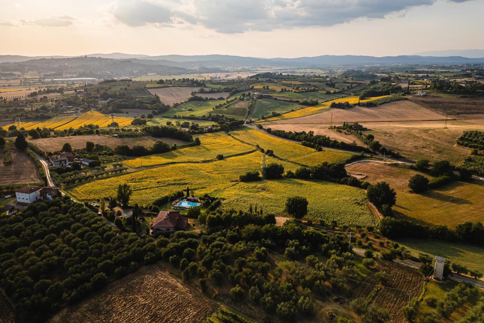 Villa Le Belle Giornate Foiano Della Chiana Eksteriør billede